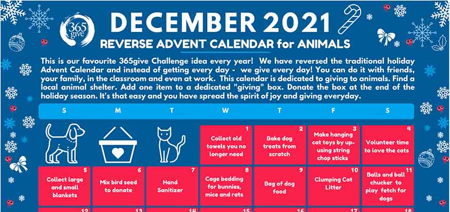 The Reverse Advent Calendar - Will for Change