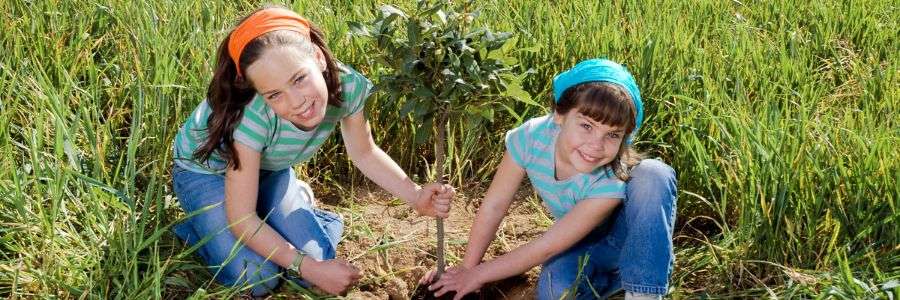 plant a tree for mothers day