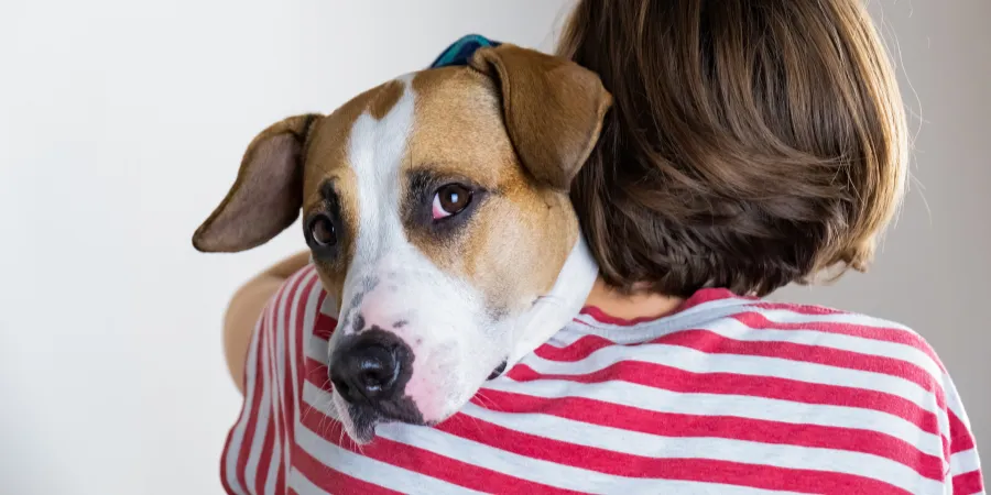 How to Build a Better World with Kindness and Love for Animals