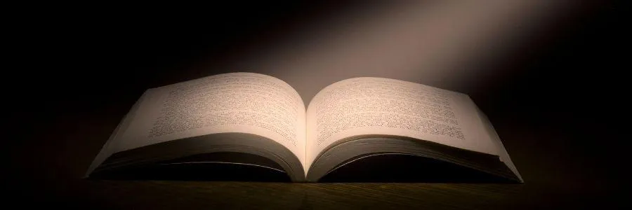 An open book illuminated by a soft beam of light in a dark setting, symbolizing the pursuit of joy and happiness through knowledge and literature.