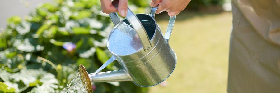Person watering garden plants with a metal watering can to protect water through mindful outdoor use