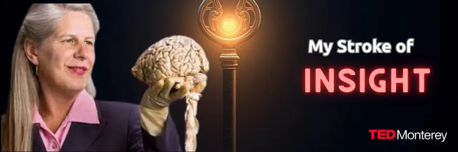 My Stroke of Insight