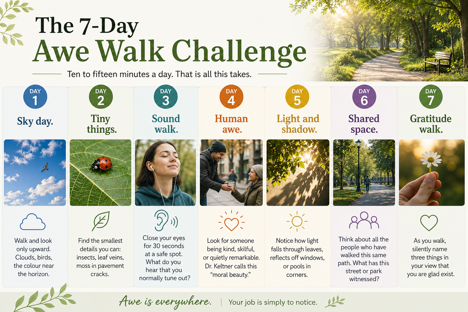 Infographic outlining a 7-day awe walk challenge with daily prompts to notice the sky, tiny details, sounds, human kindness, light, shared spaces, and gratitude
