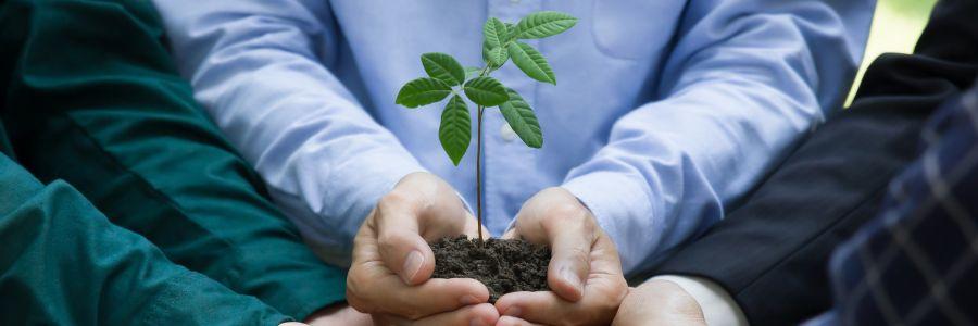 Community members nurturing a young tree sapling, representing the Sustainability Shift and collective efforts to create a sustainable planet.