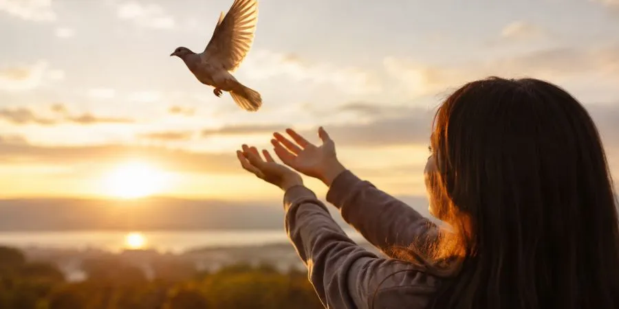 The Art of Forgiveness: Why Giving It Is the Ultimate Power