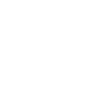 AI for good activity to solve a real-world problem using AI as a co-pilot