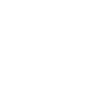Youth leadership activity to connect service with future-ready skills